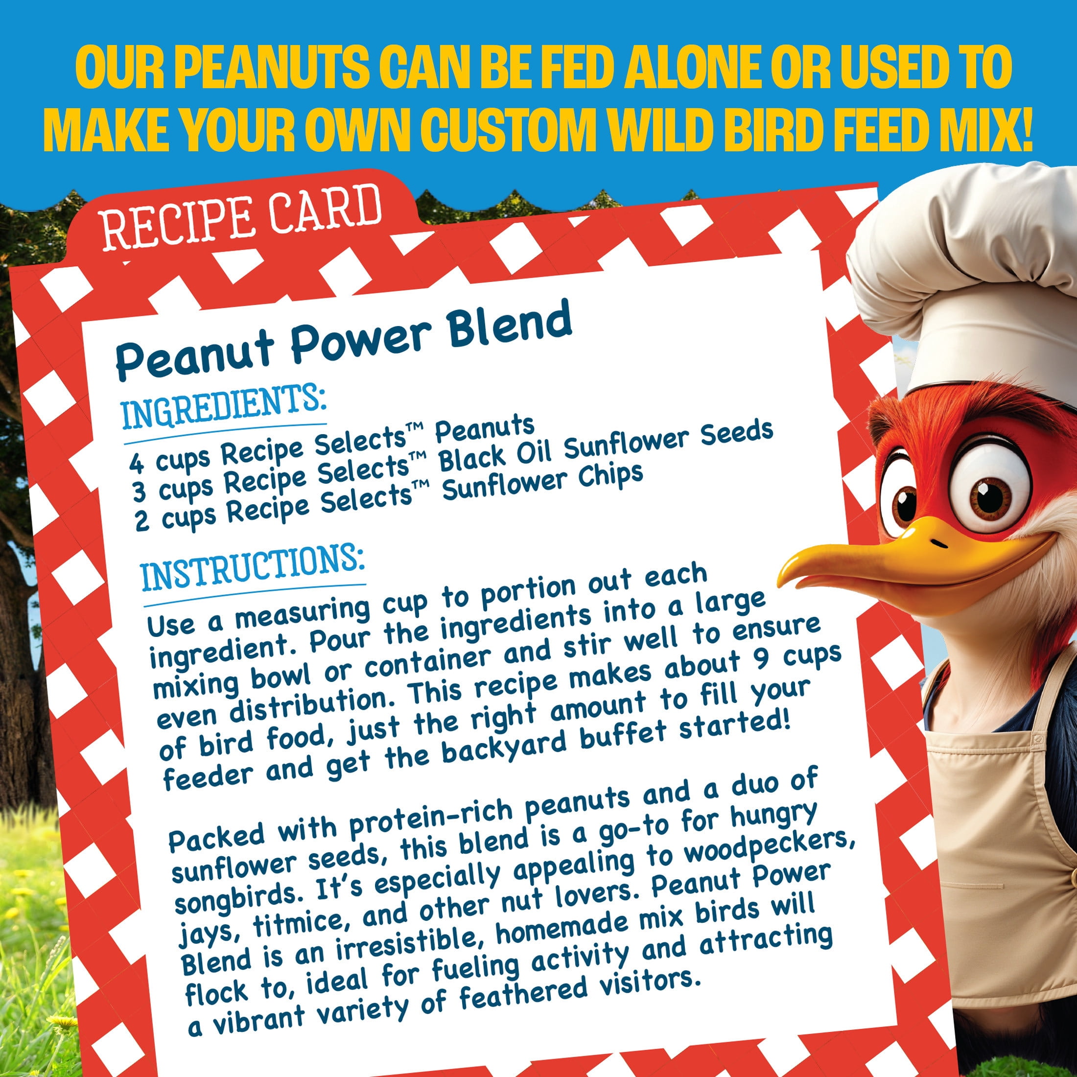 Pennington Recipe Selects Shelled Peanuts for Birds and Wildlife, Wild Bird Food, 5 lb Bag, 1 Pack, Dry