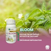 Bio Bob Plant Growing Kit