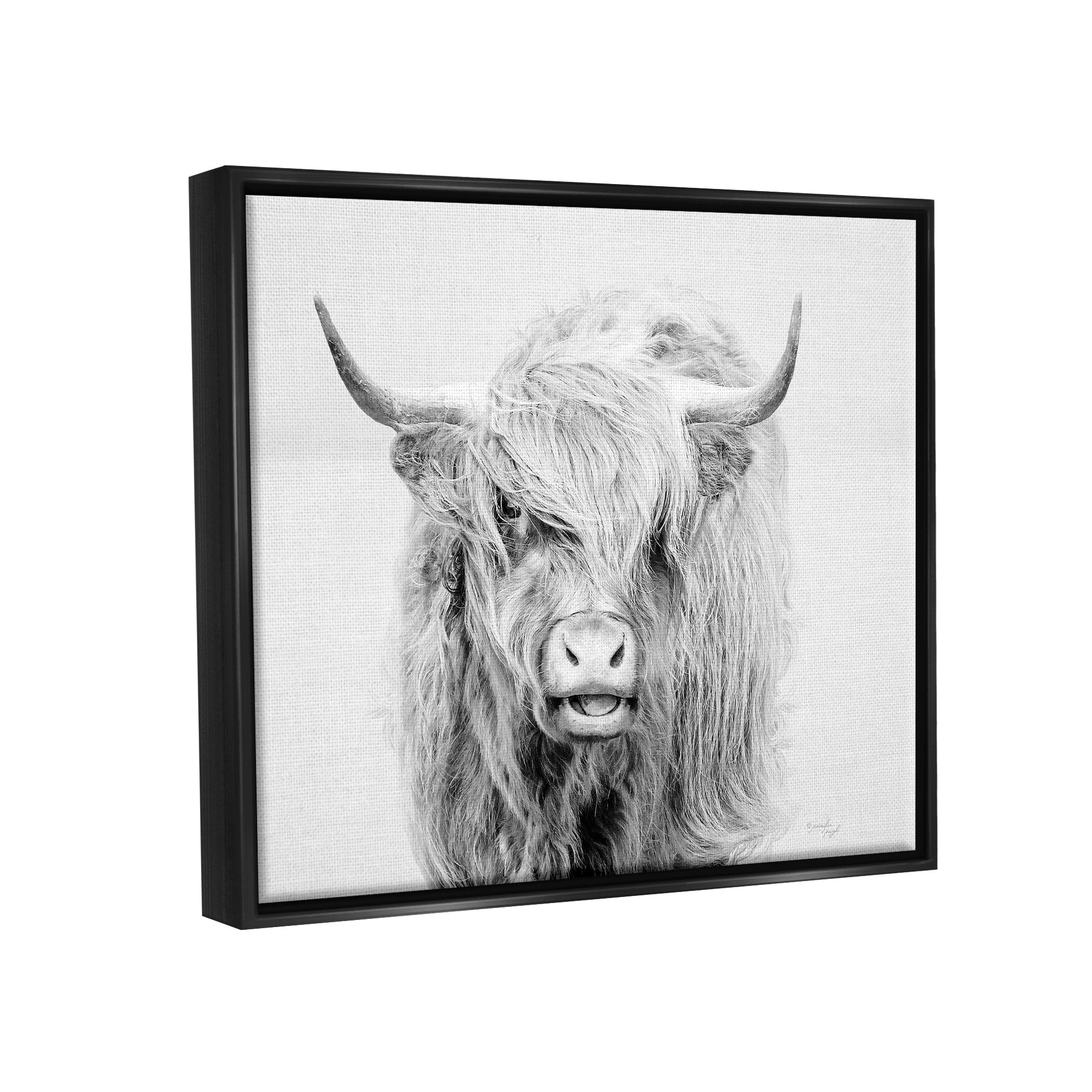 Stupell Industries Expressive Highland Cattle Monochrome Animal Portrait Photograph Jet Black Floating Framed Canvas Print Wall Art, Design by Jennifer Pugh