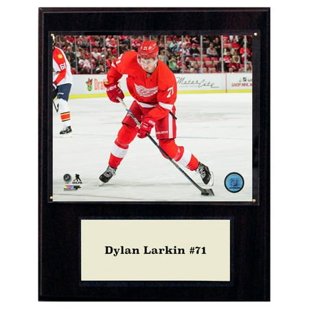 C&I Collectables NHL 12x15 Dylan Larkin Detroit Red Wings Player (Detroit Red Wings Best Players)