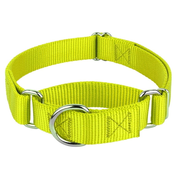 Country Brook Petz® Martingale Dog Collar - Training Collar with No Buckle (Hot Yellow, Small)