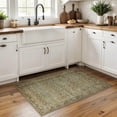 thumbnail image 7 of BERTHMEER 2'x3' Small Brown Area Rugs for Bathroom Bedroom Entryway Kitchen Dorm Entrance Non Slip Washable Vintage Traditional Oriental Accent Distressed Rugs, 7 of 7