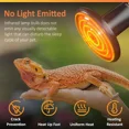 thumbnail image 3 of 2-pack 100W heat lamp for terrarium, ceramic heat emitter, none, 3 of 5