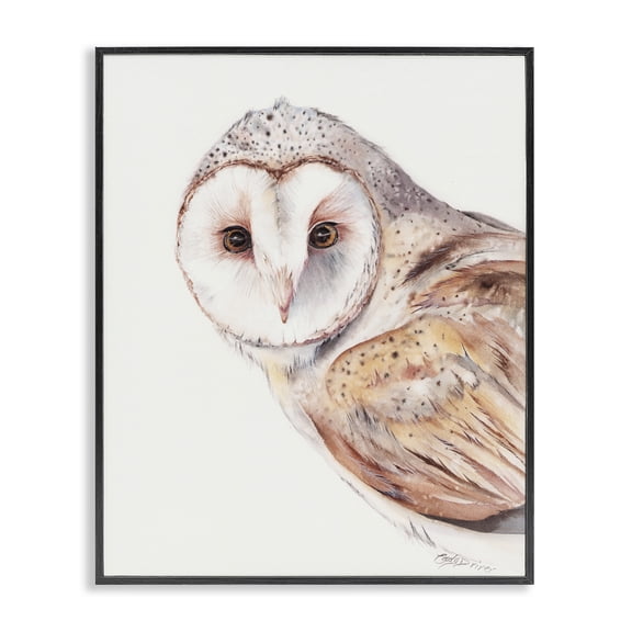 Stupell Industries Rustic Lodge Peeking Barn Owl Gaze Black Framed Giclee Art, 11 x 14, by Cady Driver
