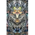 thumbnail image 2 of Gavidia, Pedro 10x14 Black Ornate Wood Framed with Double Matting Museum Art Print Titled - Chromocranial Urn, 2 of 4