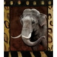 thumbnail image 2 of Grey, Jace 12x13 White Modern Wood Framed Museum Art Print Titled - Elephant Bordered, 2 of 4