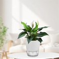 thumbnail image 3 of 6 Inch Self Watering Plant Pot with Visual Reservoir White, 3 of 5