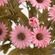 thumbnail image 5 of Xihbxyly Arreglo Floral de Manzanilla, Plantas Artificiales Realistas, Colores Amarillo y Rosa Brillantes, Decoración Vibrante para El Hogar, Accesorios de Fotografía para Sala de Estar y Bodas, Tama, 5 of 6