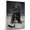 Affenpinscher, variant on Rat Terrier Cute Dog Ice Hockey Stretched Canvas Size 8x12 – Retro Rat Terrier Dog Batter in Action With Ice Hockey for Themed Living Room