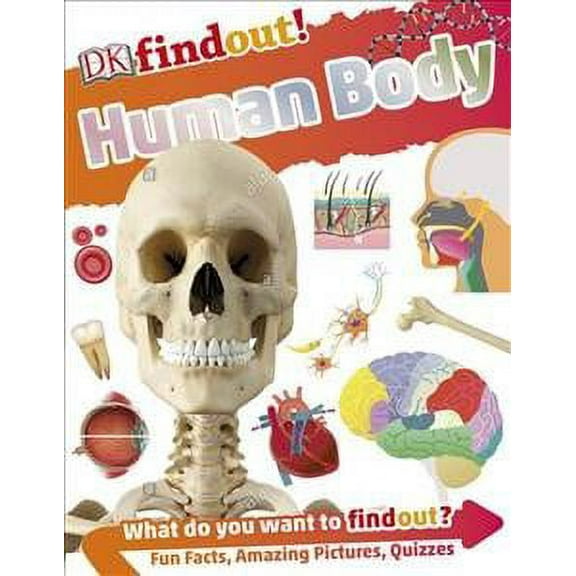 DKfindout! Human Body (Paperback)