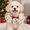 White, variant on Christmas Pet Ruffle Collar, Lace Trim Double Bow Holiday Neckwear for Cats and Dogs, Festive Christmas Pet Accessory, L