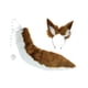 thumbnail image 4 of Conjunto de orejas y cola de animal para cosplay, cola larga para fiesta de máscaras. Marrón y blanco, 4 of 9