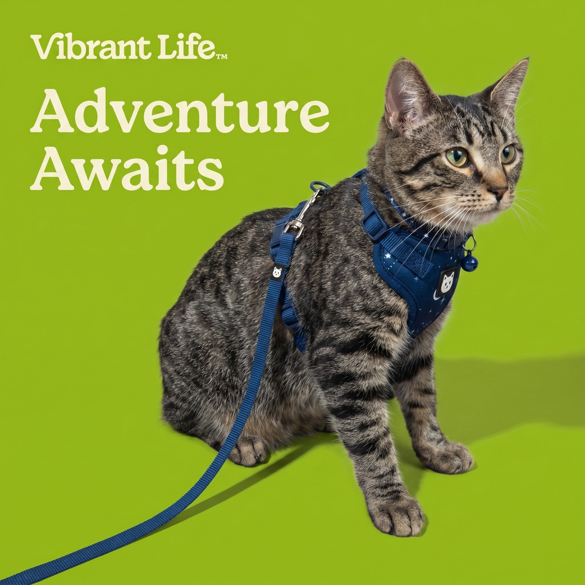 Vibrant Life Adjustable Cat Harness and Leash Set, Blue Celestial, One Size