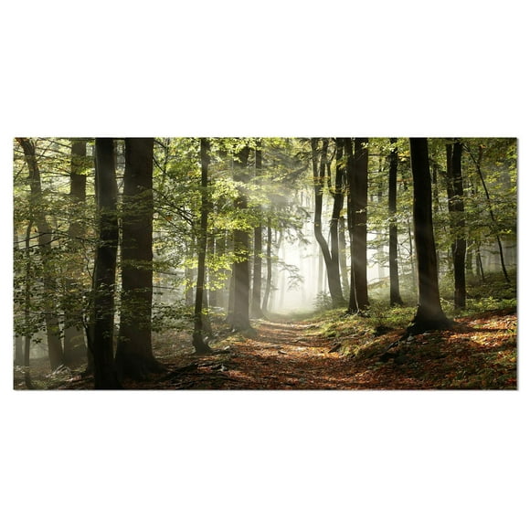 Designart Green Fall Forest with Sun Rays Canvas Wall Art