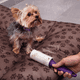 thumbnail image 5 of Guante Removedor Pelo Y Rodillo Quitapelusas Mascota Reynera, 5 of 6