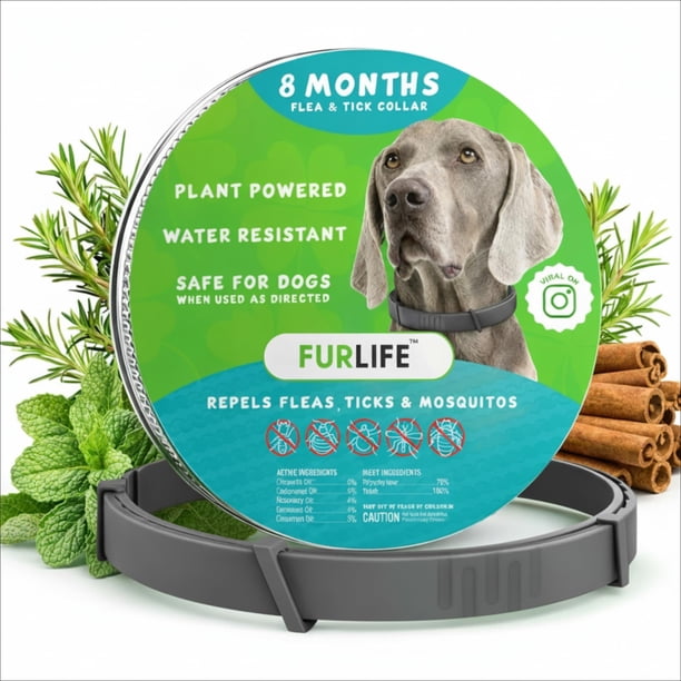 Collar antipulgas y antigarrapatas FurLife impermeable gris para perros