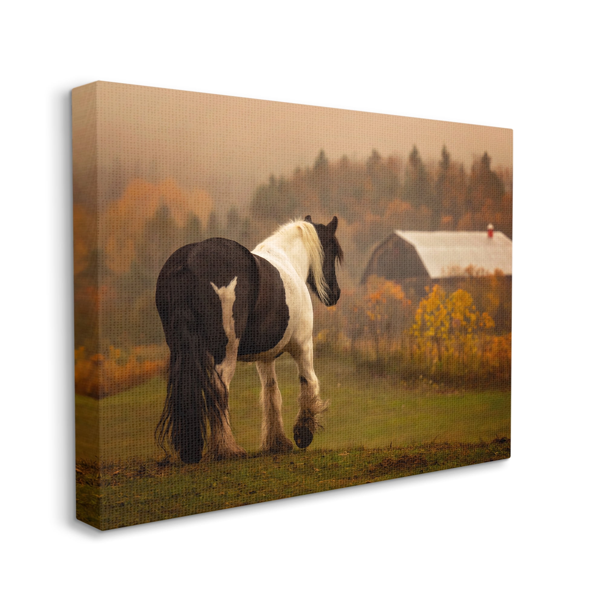 Stupell Industries Horse Overlooking Barn Landscape Photography Gallery Wrapped Canvas Art Print Wall Art, 40 x 30