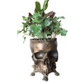 thumbnail image 1 of Maceta de resina con forma de calavera hecha a mano, adorno artesanal, regalo creativo de Halloween para el hogar y el jardín, 1 pieza de latón, 1 of 3