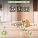 thumbnail image 4 of Interactive Cat Toy for Indoor Cats, Tumbler Design Cat Red Light Dot Toy, Intelligent Kitten Toys with Replaceable Feathers, Rechargeable 2000 mAh Lo, 4 of 4
