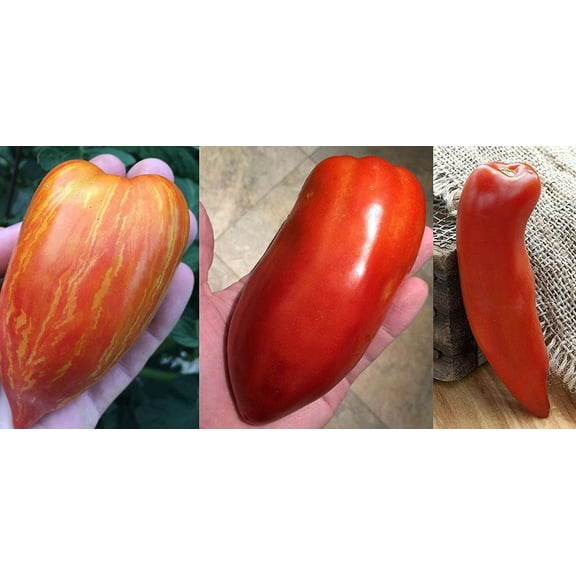 Sherwoods Ultimate Sauce Tomato Variety Seed Packet San Marzano Redorta Opalka