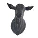 thumbnail image 1 of Escultura de pared con forma de animal Macarena jarrón decorativo cabeza de ciervo negro, 1 of 8
