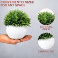 thumbnail image 3 of Mini artificial plants | Modern farmhouse plant Home decor | Small artificial plants, 3 of 5