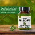 thumbnail image 2 of YADAH Tratamiento en ampolla de lavado desenredado 6.76 fl oz | Reparación y nutrición profunda con aceite de aguacate con ácido hialurónico Ceramide NP | Suaviza, hidrata y restaura el brillo del cab, 2 of 5