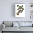 thumbnail image 3 of Melissa Wang 'Prayer Plant II' Canvas Art, 3 of 3
