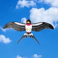 thumbnail image 4 of TheFound Mini Kite, Colorful Parrot Butterfly Bird Kite Beach Kite with Rod for Outdoor Park, 4 of 7