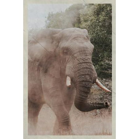 Notebook: Bull Elephant Handy Composition Book Daily Journal Notepad Diary Vintage Retro Poster Style for Best African Safari fo