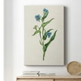 thumbnail image 6 of Flowers of the Seasons V Premium Gallery Wrapped Canvas - Ready to Hang, 6 of 9