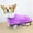 purple, variant on Close Fitting Pets Bathrobe Strong Water Absorption  Neck Circumference Size Adjustable Dog Drying Coat Machine Washable Bathrobe
