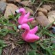 thumbnail image 2 of 2 uds resina pareja pájaros figuritas artificiales en miniatura adornos de escritorio Likrtyny  2nm2wb9be6gm8ns0, 2 of 6