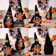 thumbnail image 4 of 2 piezas de decoraciones de peluche de gnomo de Halloween, hechas a mano para la cocina del hogar en interiores, bandeja escalonada, mesa, chimenea, 4 of 5