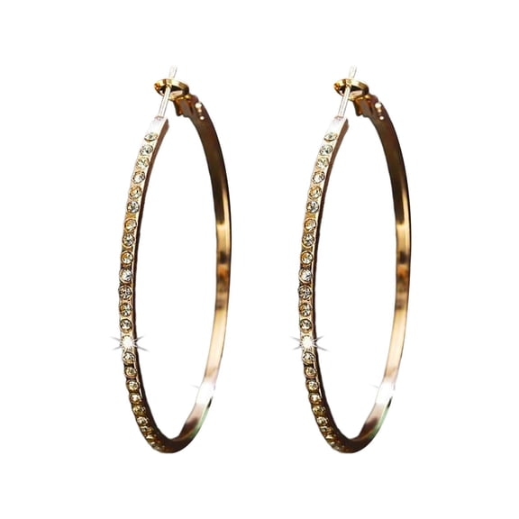 YYKihy 925 Sterling Silver Earrings For Women Full Dangle Round Hoop Earrings For Her