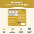 thumbnail image 4 of HANDPICK Ginger Tea Bags (100 Count), Caffeine Free, Non-GMO, 4 of 12