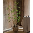 thumbnail image 2 of Artificial Bamboo Stem Faux Screen Plant Set of 10, 2 of 9
