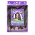 thumbnail image 2 of (4 pack) Darling Spring Twist Crochet Hair 2X Pack, 24 inch, #1/30, Adult, Women, 2 of 9