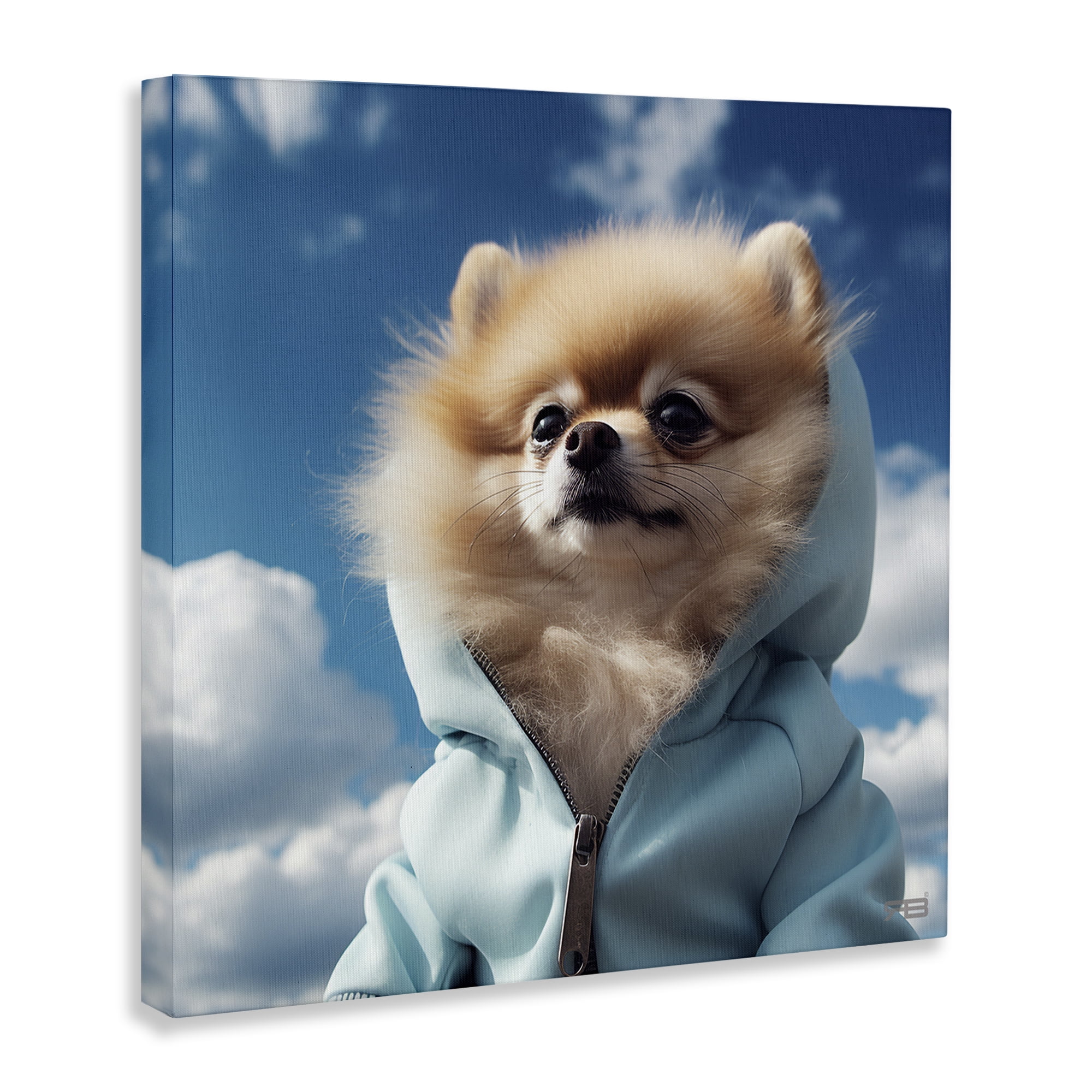 Stupell Industries Pomeranian Dog & Clouds Animals & Insects Painting Gallery Wrapped Canvas Art Print Wall Art, 17 x 17