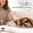 thumbnail image 2 of Almohadilla Térmica para Mascotas "Lilly" PP210 - Marca Beurer, 2 of 7