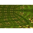thumbnail image 1 of Ahgly Company Indoor Rectangle Patterned Dark Forest Green Area Rugs, 2' x 5', 1 of 6