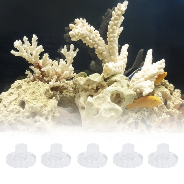 Estante Para Fragmentos De Coral Ligero Y Transparente Alto, Estante De Coral, Para Acuario