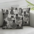 thumbnail image 2 of Nawypu Throw Pillow Cover, Cat Pillow Cover, Abstract Kitten with Cute Tail Decorative Pillow Case, Cat Themed Gifts for Women Cushion Cover for Sofa Couch Chair Bed, 2pc, 2 of 6