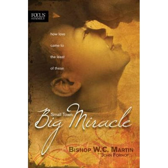 Pre-Owned Small Town, Big Miracle: How Love Came to the Least of These (Paperback) 1589974433 9781589974432
