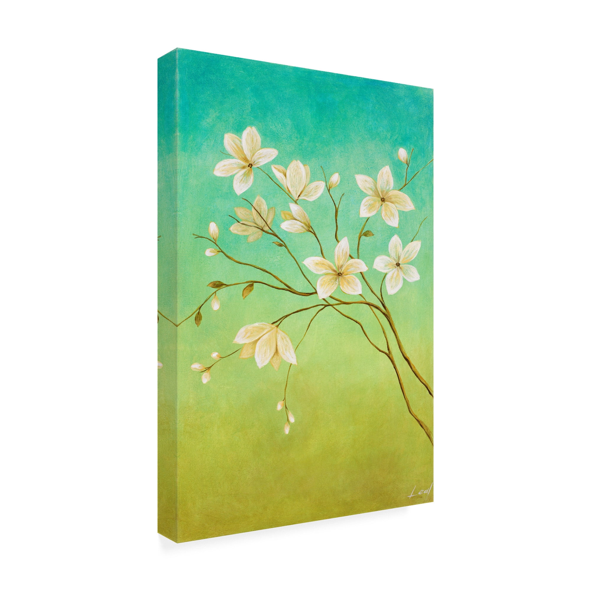 Trademark Fine Art 'White Flower Branch 1' Canvas Art by Pablo Esteban