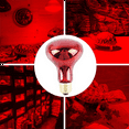 thumbnail image 2 of 100W 8x Infrared Heat Lamp Bulb Red Light Heat Bulbs for Pet Lizards Bearded Snakes 220V, 2 of 8