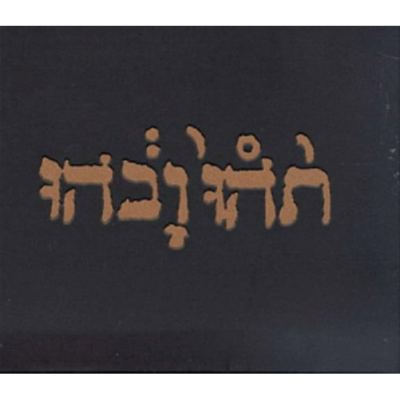 Godspeed You! Black Emperor - Slow Riot for New Zero Kanada - Music & Performance - Vinyl