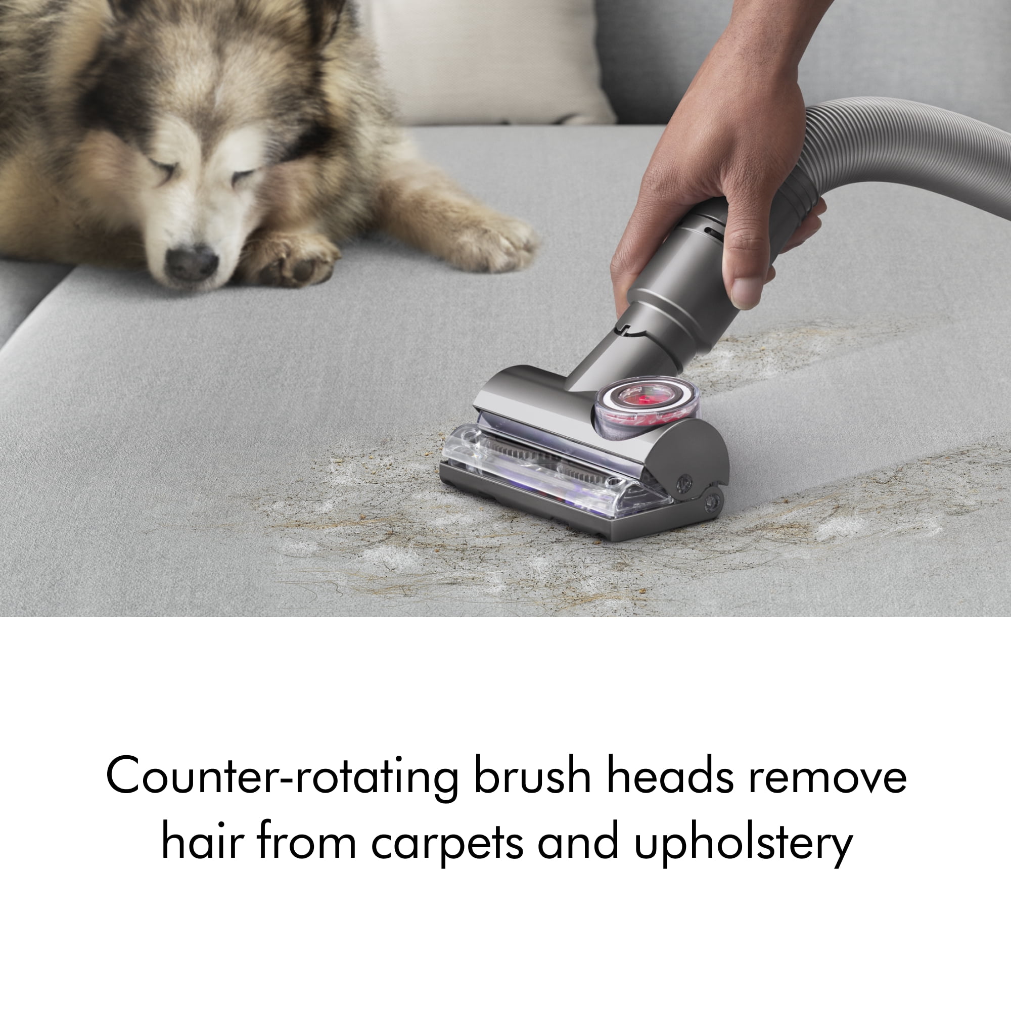 Dyson Ball Animal Total Clean Upright Vacuum | Iron/Blue | New