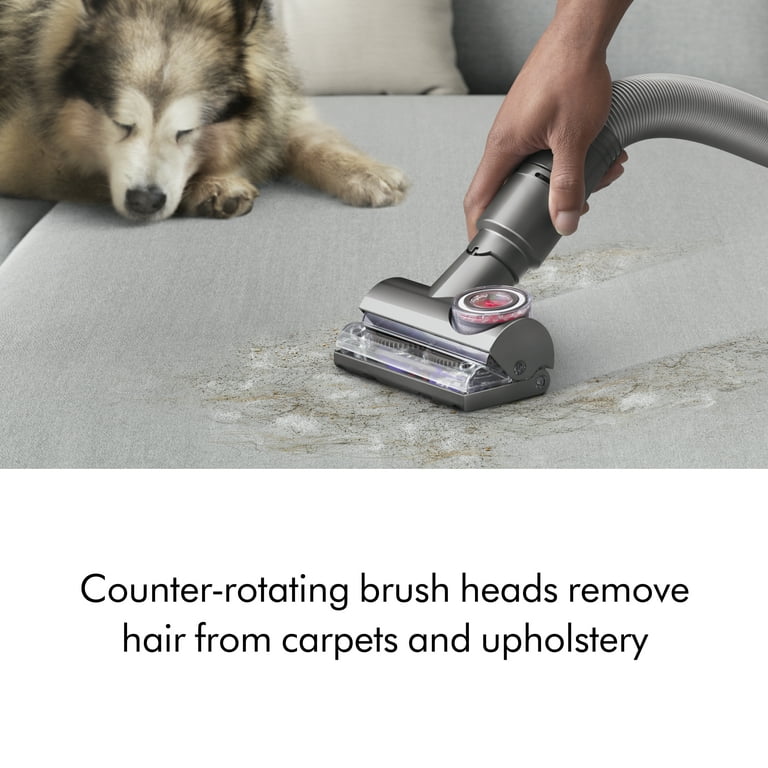 Dyson Ball Animal Total Clean Upright Vacuum, Iron/Blue, Pet Hair