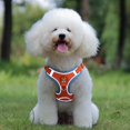 thumbnail image 4 of harmtty Stylish Pet Traction Rope Strong Buckle   for Pet Training   Fashionable, 4 of 7